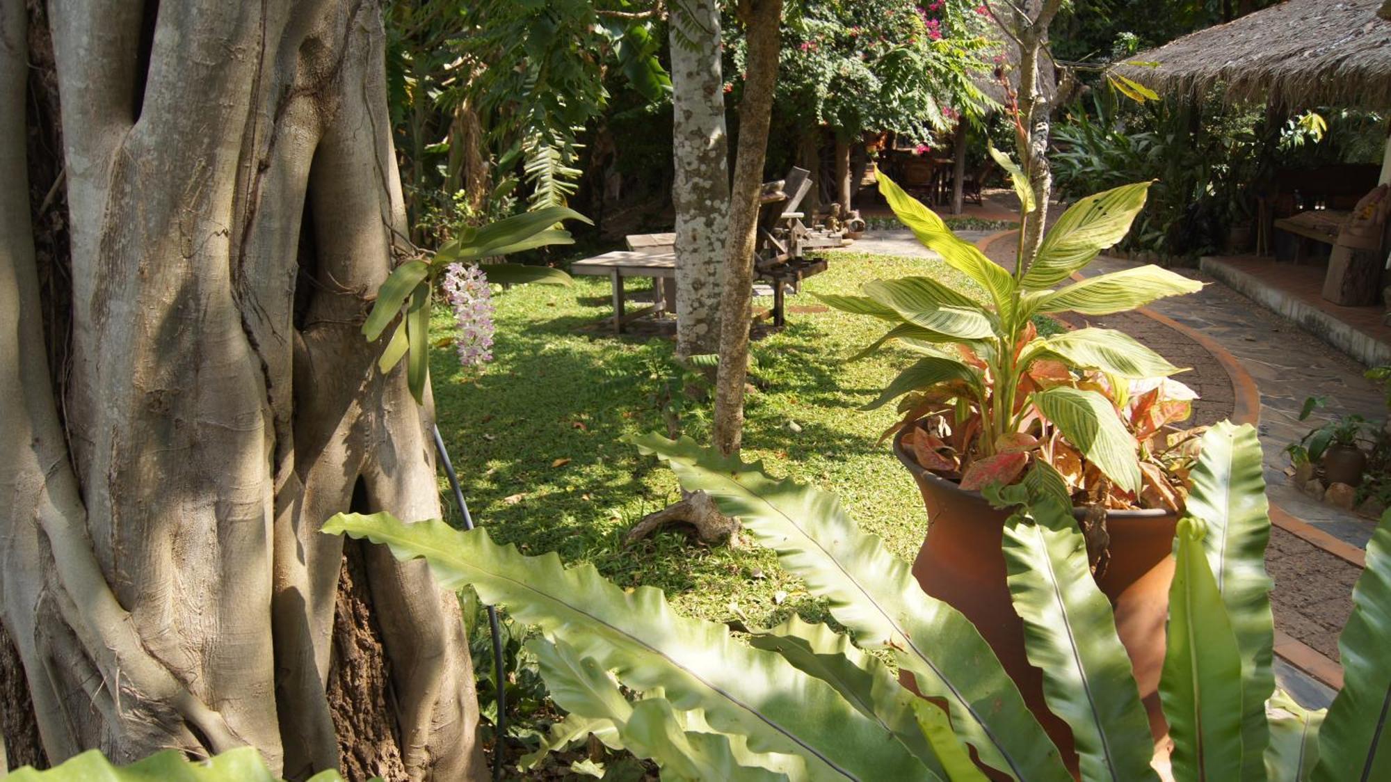 Mut Mee Garden Guest House Nong Khai Bagian luar foto